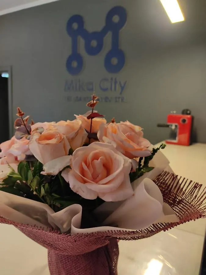 Mika City Hotel